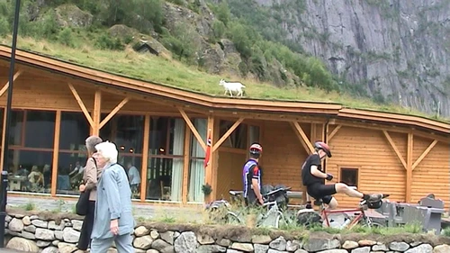 11 Jul 2003 · South West Norway: Day 8 Lofthus to Haugastøl tourist centre